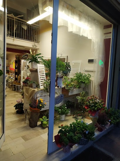 Fioreria Belleville, Fiorista a Pesaro