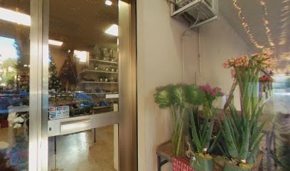 Top Flora Teramo, Fiorista a Teramo