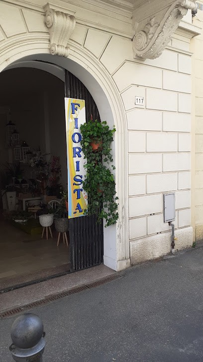 Raggio Di Fiore Di Rossini Maria Gloria, Fiorista a Lugo
