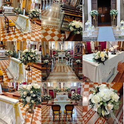 Il Fiore, Fiorista a Colleferro