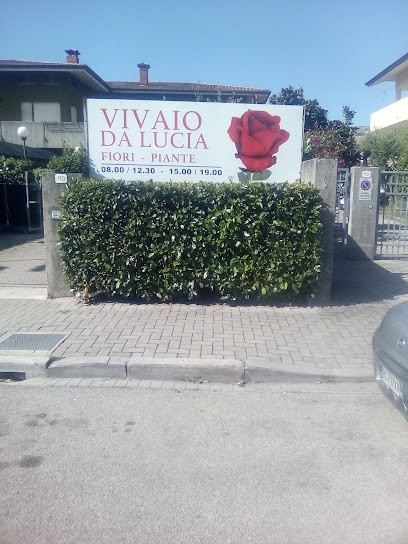 Vivaio Da Lucia Udine, Fiorista a Udine