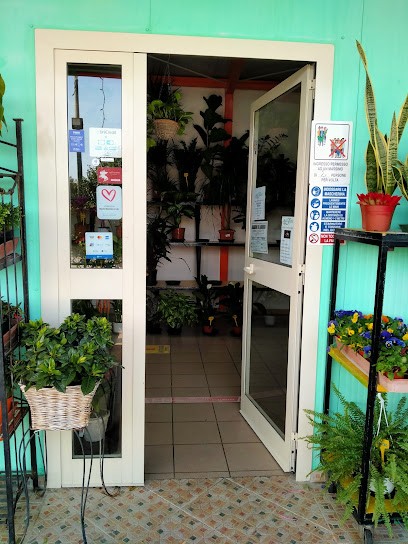 Il Nido Dei Fiori S.r.l, Fiorista a Patti