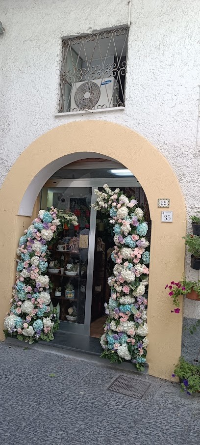 L'Orchidea Di Castaldi R., Fiorista a Forio
