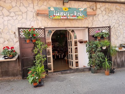 Flowers And Birds, Fiorista a Procida