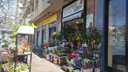 Fioraio Milena Fiori Torino, Fiorista a Torino