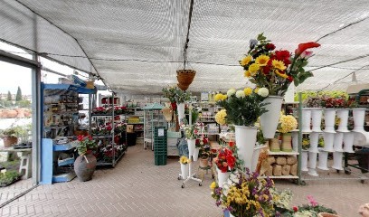 Garden Oasi Pistoia, Fiorista a Pistoia