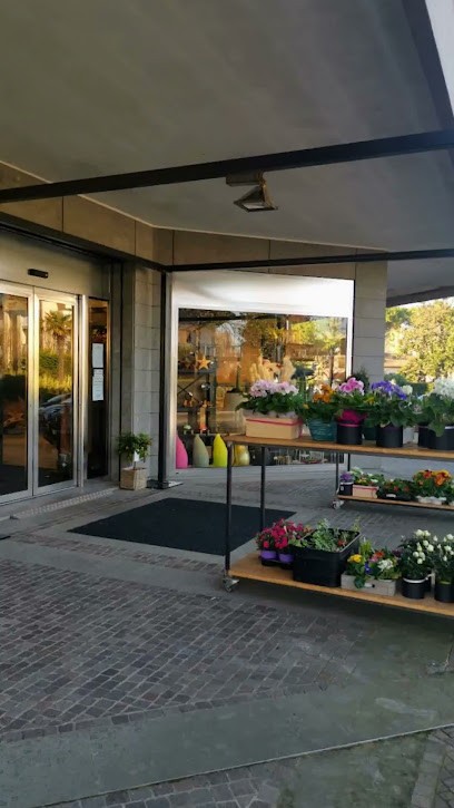 Fioreria Roma gallery jesolo paese, Fiorista a Lido di Jesolo