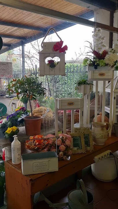 Giardinaggio Binali, Fiorista a Verona