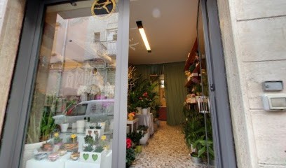 Grazia Bozzi Fiori e Piante Onoranze Funebri, Fiorista a Bitritto