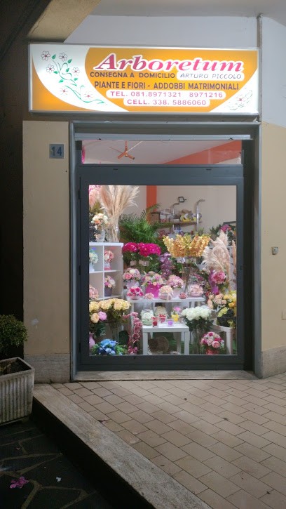 Arboretum Di Piccolo Arturo, Fiorista a Pollena Trocchia