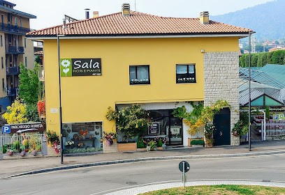 Sala Fiori e Piante, Fiorista a Alzano Lombardo