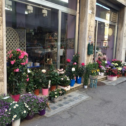 Luna In Fiore Di Ferrando Paola, Fiorista a Novi Ligure