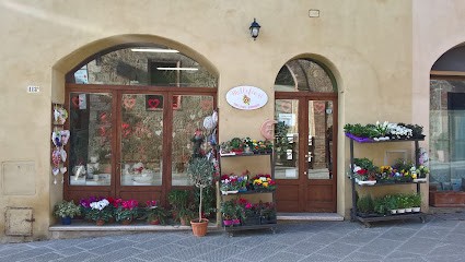 Millefiori Di Bassi Chiara E Laura S.n.c, Fiorista a San Quirico d'Orcia