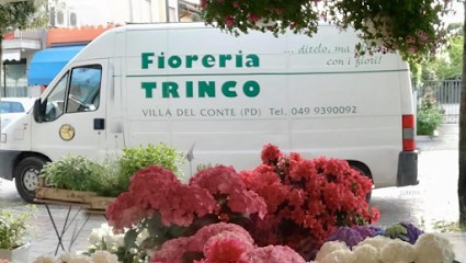 Fioreria Trinco S.n.c., Fiorista a Villa del Conte
