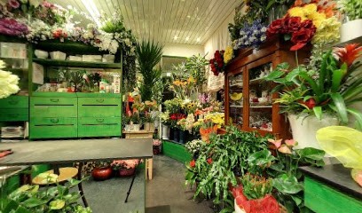 Fiorista Franco Fiori, Fiorista a Felino