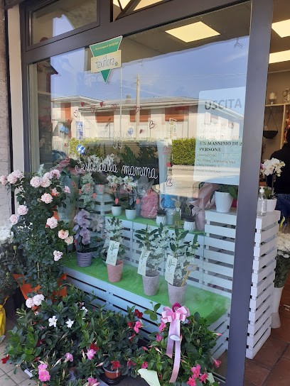 FIORERIA ZARA, Fiorista a Padova