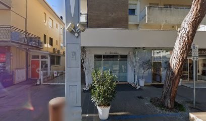 Palazzi Daniela, Fiorista a Riccione