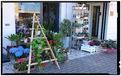 FANTASIA VERDE, Fiorista a Quarto