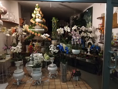 Fioreria La Primavera, Fiorista a Rimini