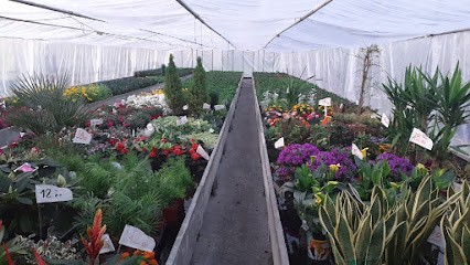 Piccolo Garden, Fiorista a Castelnovo di Sotto