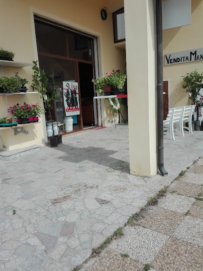 Fioridea Di Paola Lorrai, Fiorista a Cardedu