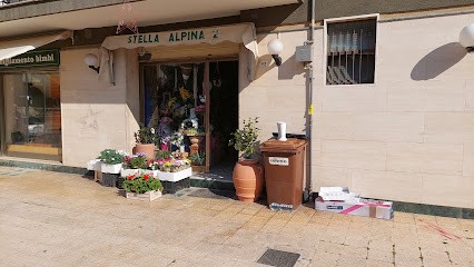 Stella Alpina, Fiorista a Casagiove