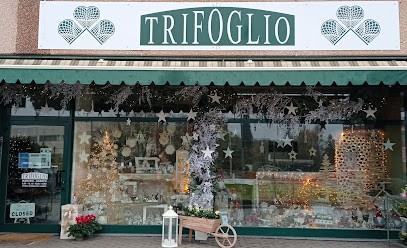 Trifoglio, Fiorista a Villa Guardia