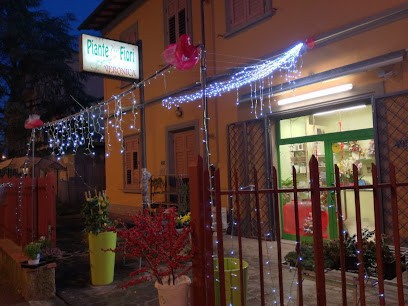 Piante E Fiori Veronica, Fiorista a Scandicci