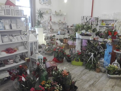 Fioridea, Fiorista a Meldola