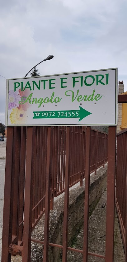 L'Angolo Fiorito di Carone Rosa, Fiorista a Rionero in Vulture
