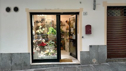 Il Fior Fiore, Fiorista a Caluso