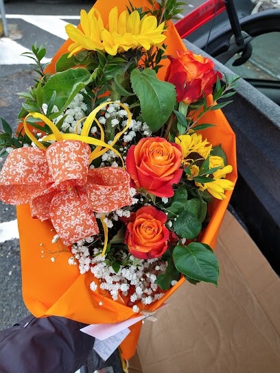 Fioraio - L'angolo Fiorito, Fiorista a Orbassano