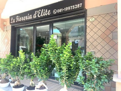 La Fioreria D'Elite, Fiorista a Quarto