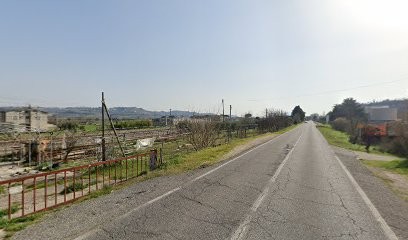 Vivai Minella, Fiorista a Gallese