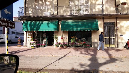 Fioreria Eden di Nascimbeni Patrizia, Fiorista a Crevalcore