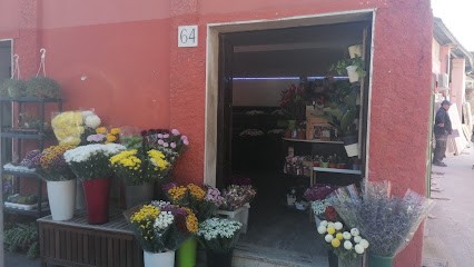 Fiori Di Riso, Fiorista a Roma