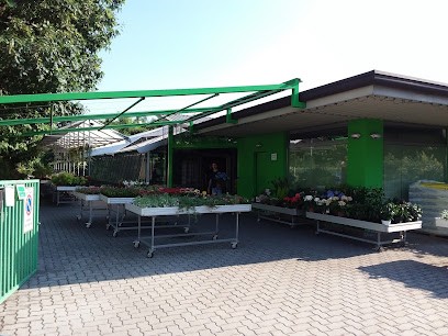 Casiraghi Snc, Fiorista a Cesano Maderno