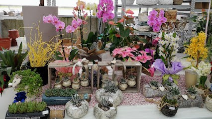 Carlesso Giovanni Floricoltura, Fiorista a Borso del Grappa