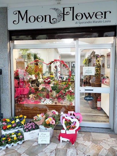 Moonflower. Fiori Composizioni Piante Decorazioni., Fiorista a Venegono Superiore