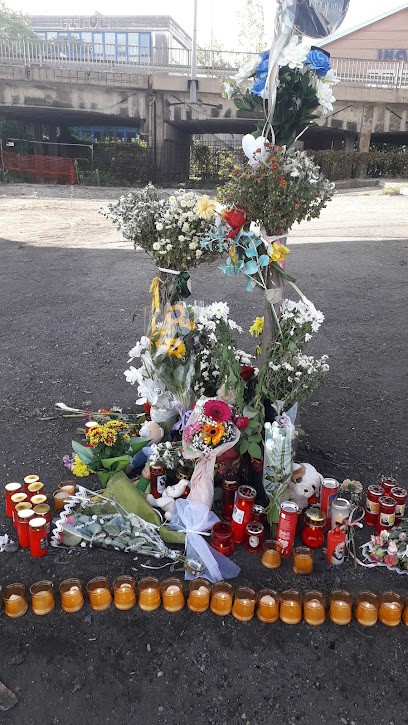 Fioreria Angolo Fiorito, Fiorista a Montebelluna