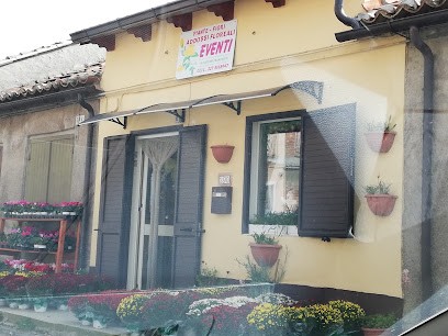 Eventi di Francesco Zaffino, Fiorista a Simbario