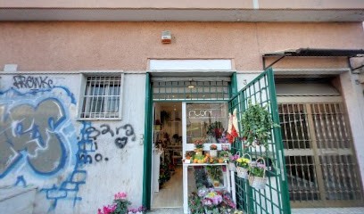 Florilu, Fiorista a Roma