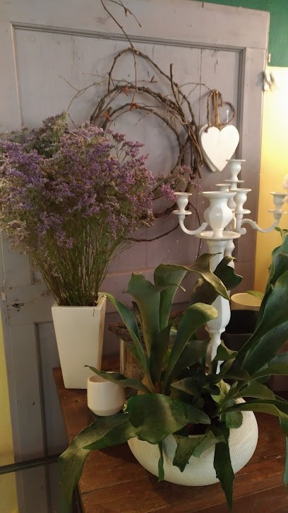 Fioreria RosaThea, Fiorista a Conegliano