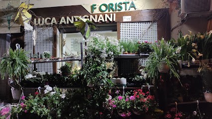 Fiorista Luca Antignani, Fiorista a Pomigliano d'Arco