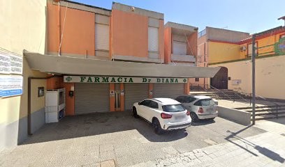 Fioricoltura Testa, Fiorista a Selargius