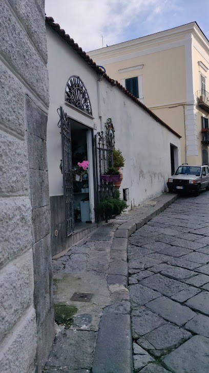 Guarracino Cecilia, Fiorista a Forio