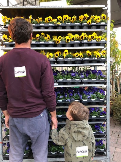 Camozzi Garden, Fiorista a Soncino