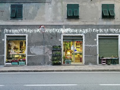 Il Giardino Incantato, Fiorista a Genova