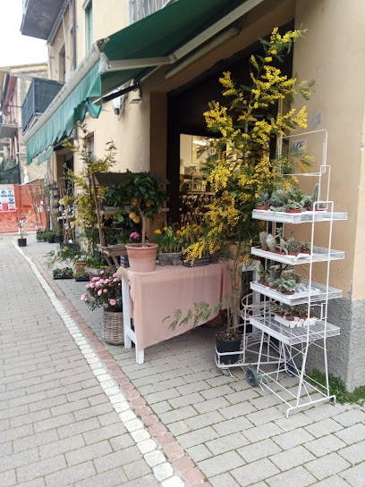 Bianchi | Fiori E Piante - Composizioni Floreali, Fiorista a Poggibonsi