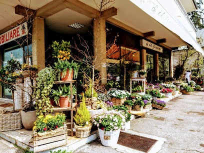 Il Fiore Di Dorina Bilbili, Fiorista a Cornedo Vicentino